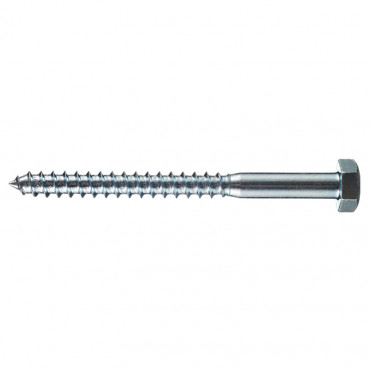 Шуруп сантехнический 10*160