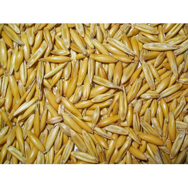 Овес /30кг/ 2 сорт Овес /30кг/ 2 сорт