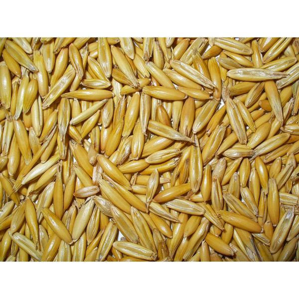 Овес /30кг/ 2 сорт