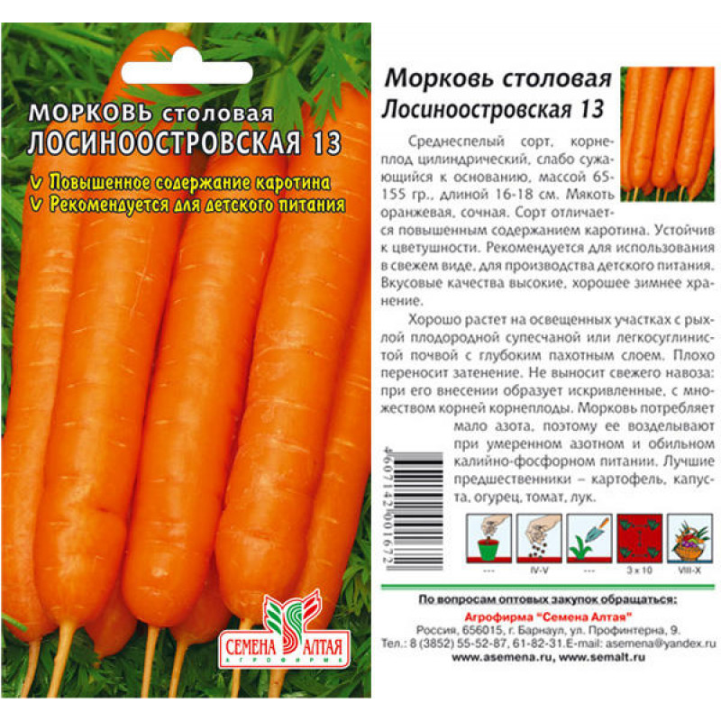 Рогнеда морковь характеристика и описание сорта фото