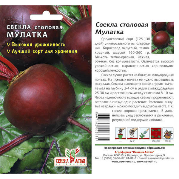 Семена Свекла Мулатка