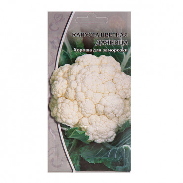 Семена Капуста цветная Дачница Семена Капуста цветная Дачница