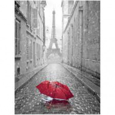 ФОТОобои 196*260 см Парижский дождь 8л