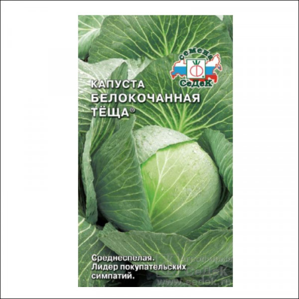 Семена Капуста Теща Б/К евро СеДек