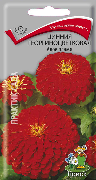 Семена цветов Цинния Алое Пламя Б/П ДемСиб